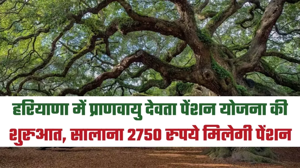 Haryana Pension Scheme: