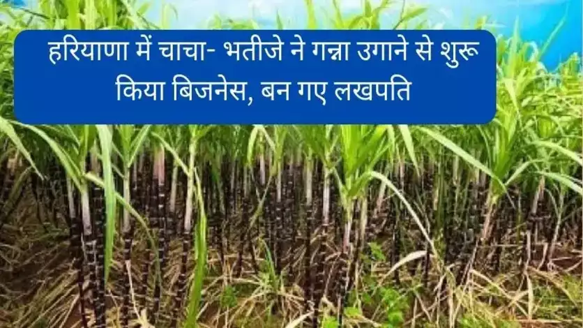 Haryana farmar