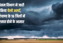 Meteorological Department issued yellow alert, chances of rain in 16 districts of Haryana