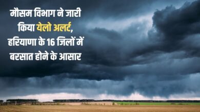 Meteorological Department issued yellow alert, chances of rain in 16 districts of Haryana